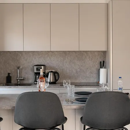 Elegant And Cozy Flat Near Pagrati Region Apartment Athens